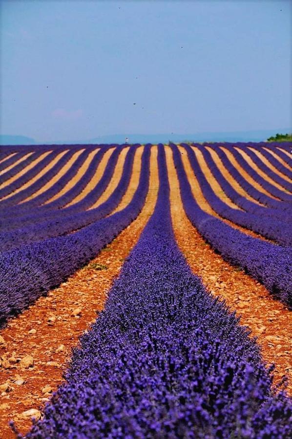 Chambres Entre Ventoux Et Luberon Sault-de-Vaucluse Esterno foto